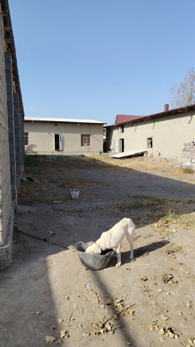 Арзон мол хона сотилади