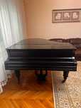Pian Bosendorfer