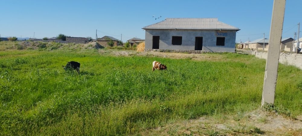 Uy sotiladi 12 sotix