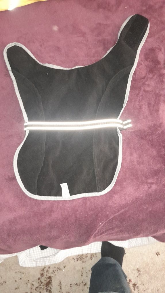 Vind hăinuțe și accesorii pt catel