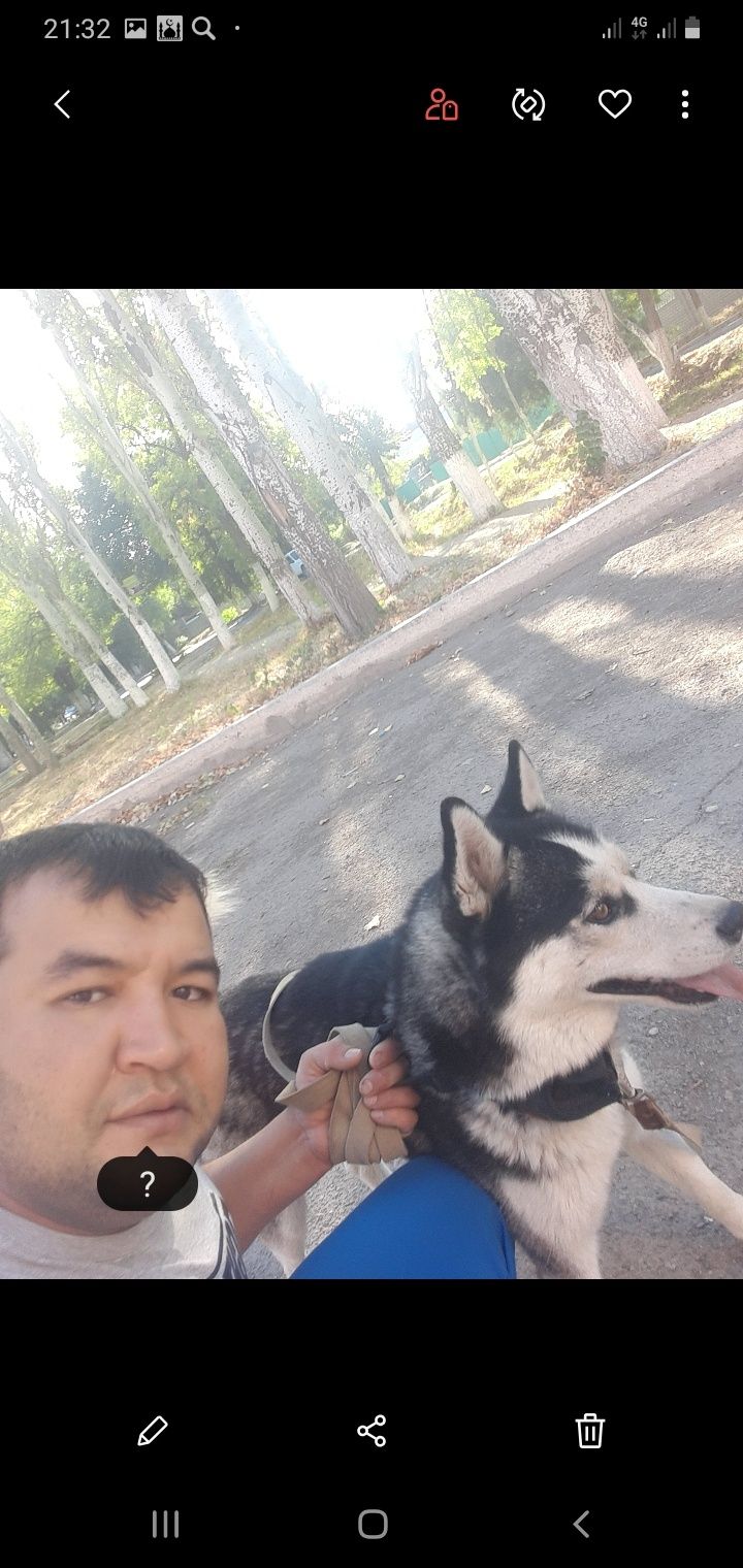Кабель для вязки Хаски Арлекин развязон