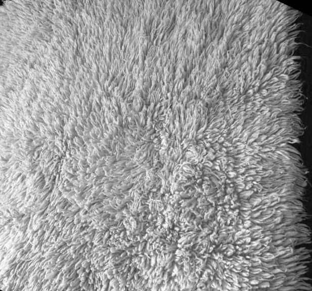 Родопски вълнени китеници, бели - 2 броя