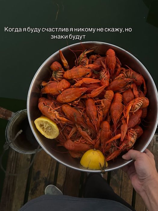Раки живые и вареные