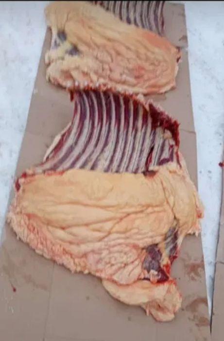 Конина соғым Астана