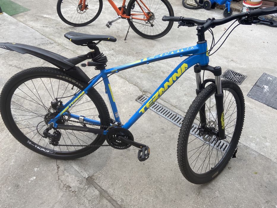 Bicicleta teranna pe 29