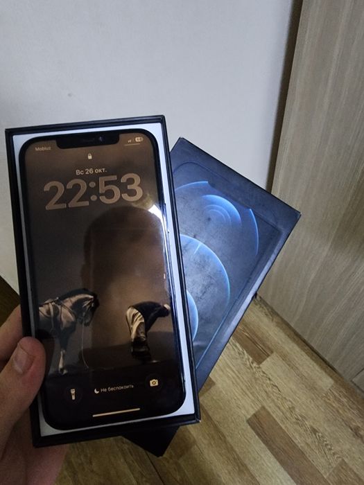 iphone 12 pro max