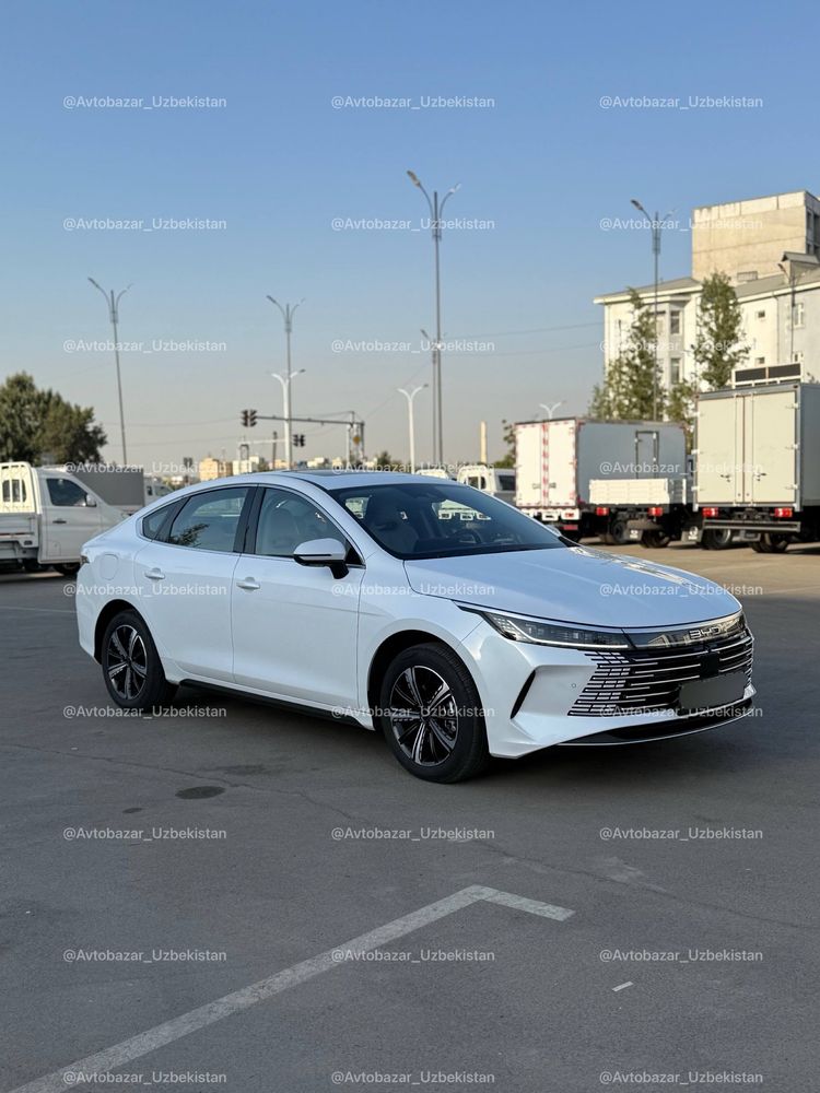 BYD Chazor Flagship•