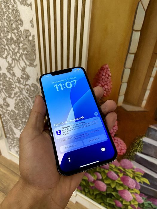 Iphone 12 pro max 256