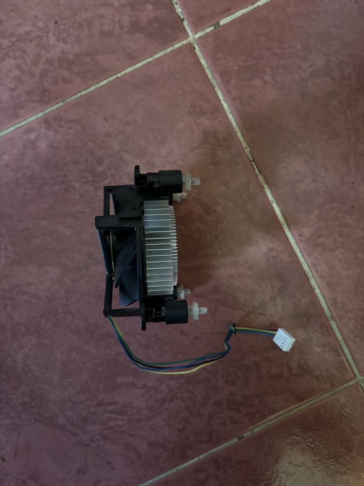 Coole Intel stock