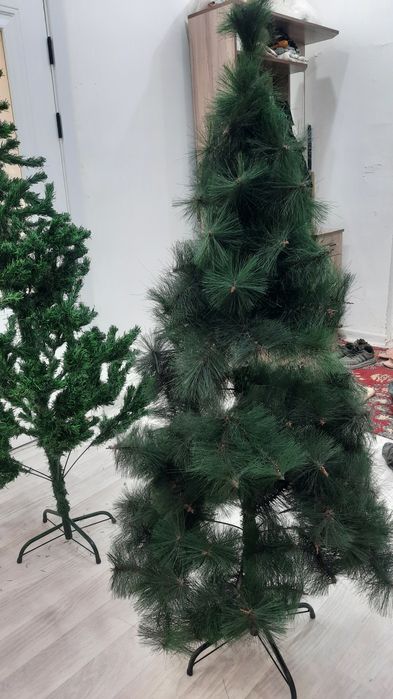 Ёлка 1-1,55 ; 2-1,80