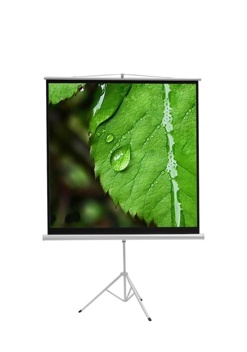 Ecran de proiecție-videoproiector cu trepied diagonala 2,25 m.