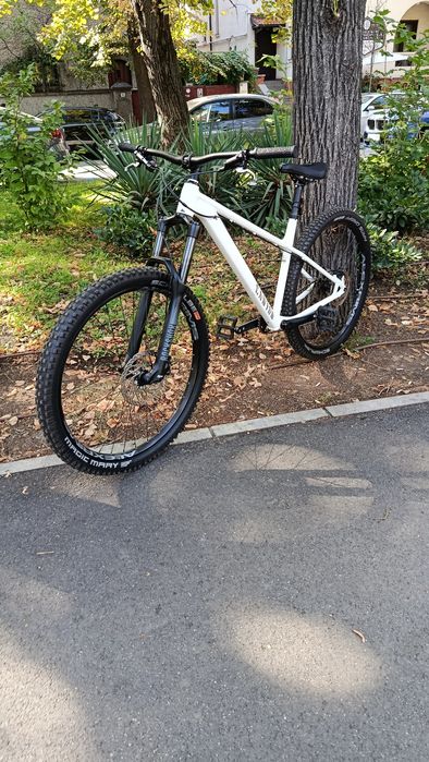 Canyon stoic 2 mărime L