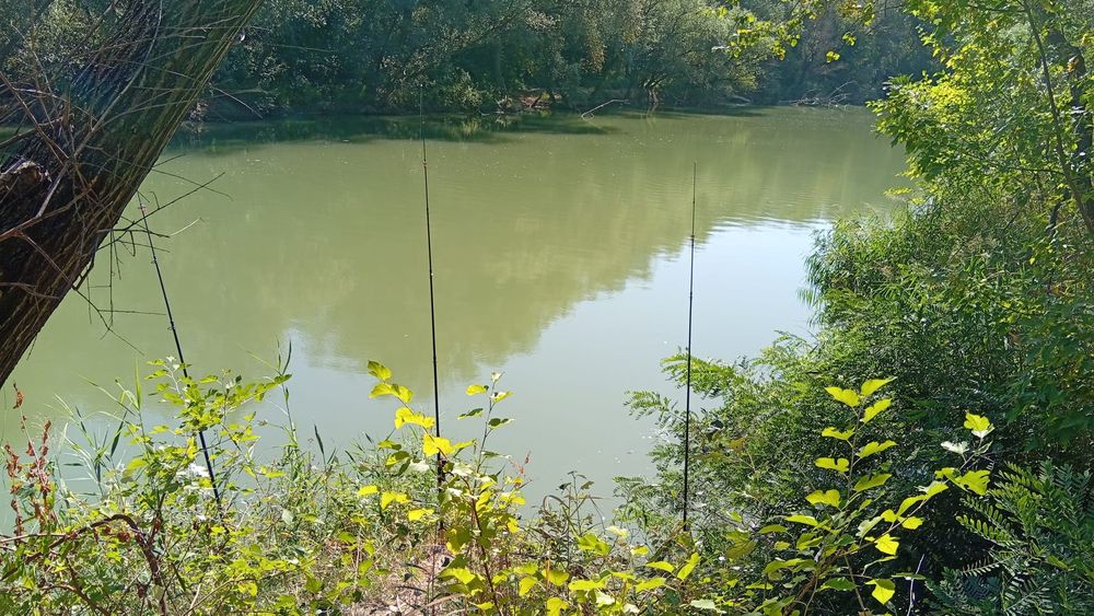 3 x Baracuda Storm 3.6m 150-250gr in Iași