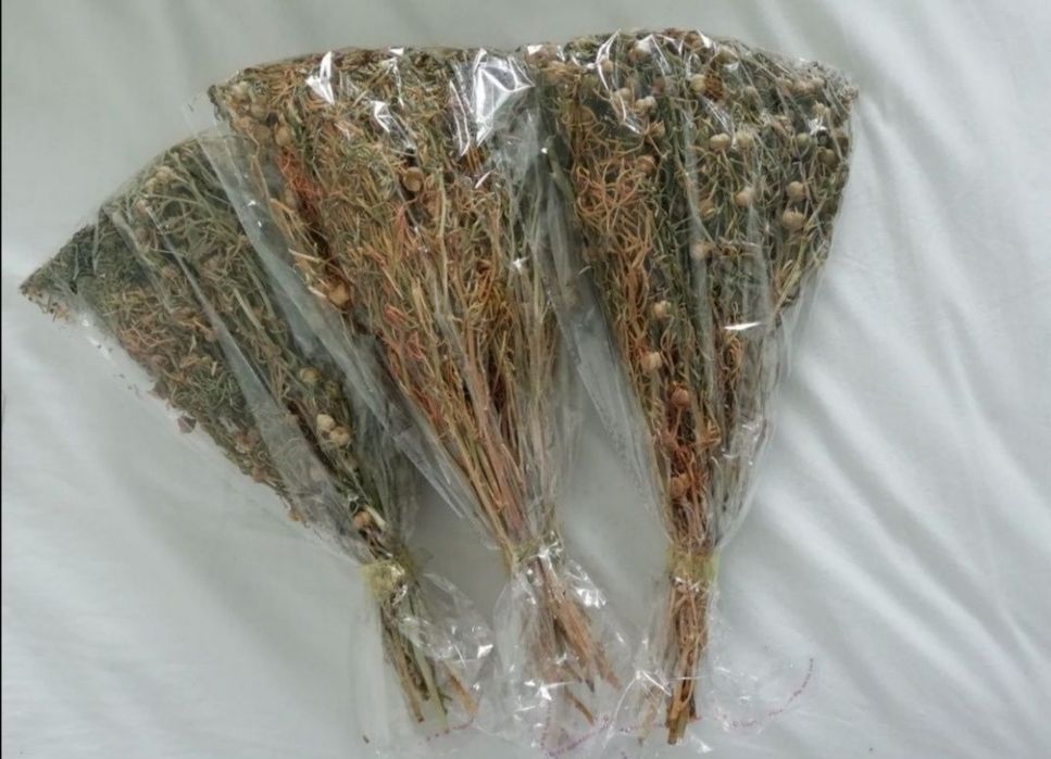 Новые адыраспан. Адраспан.