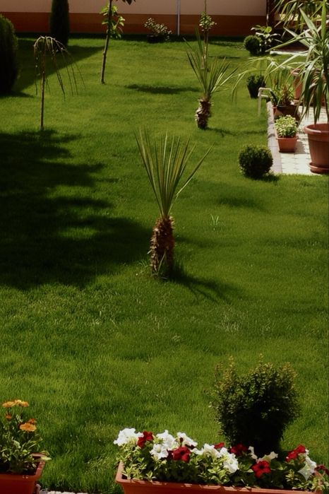 Участок 3,7 сотых рядом с Минор мечетью