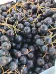 Vand suc de aronia si miere de albine!