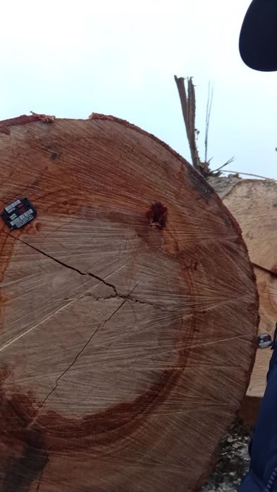 Пиломатериалы Бук