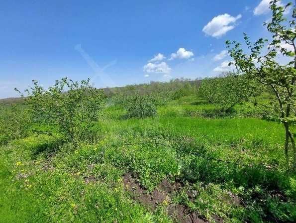 Парцел в село Драчево 76304