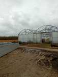 Vand solar legume