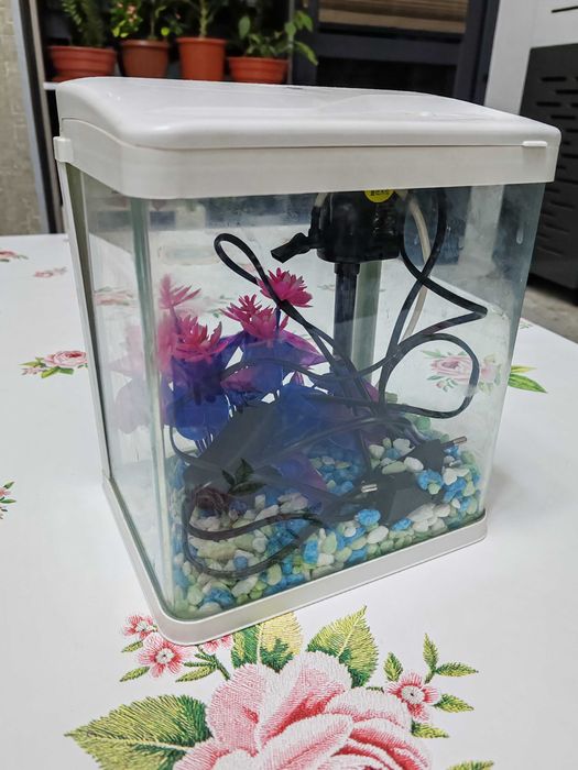 Аквариум сотилади