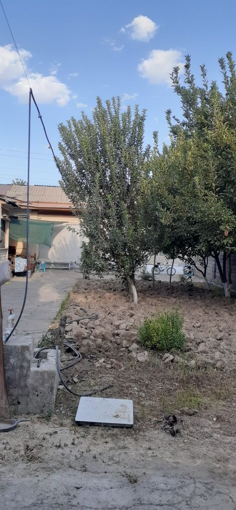 Ohunbboyibda yer sotiladi 2.5sotik 8×32