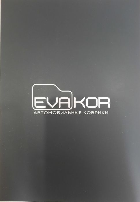 Автомобильные коврики Evakor