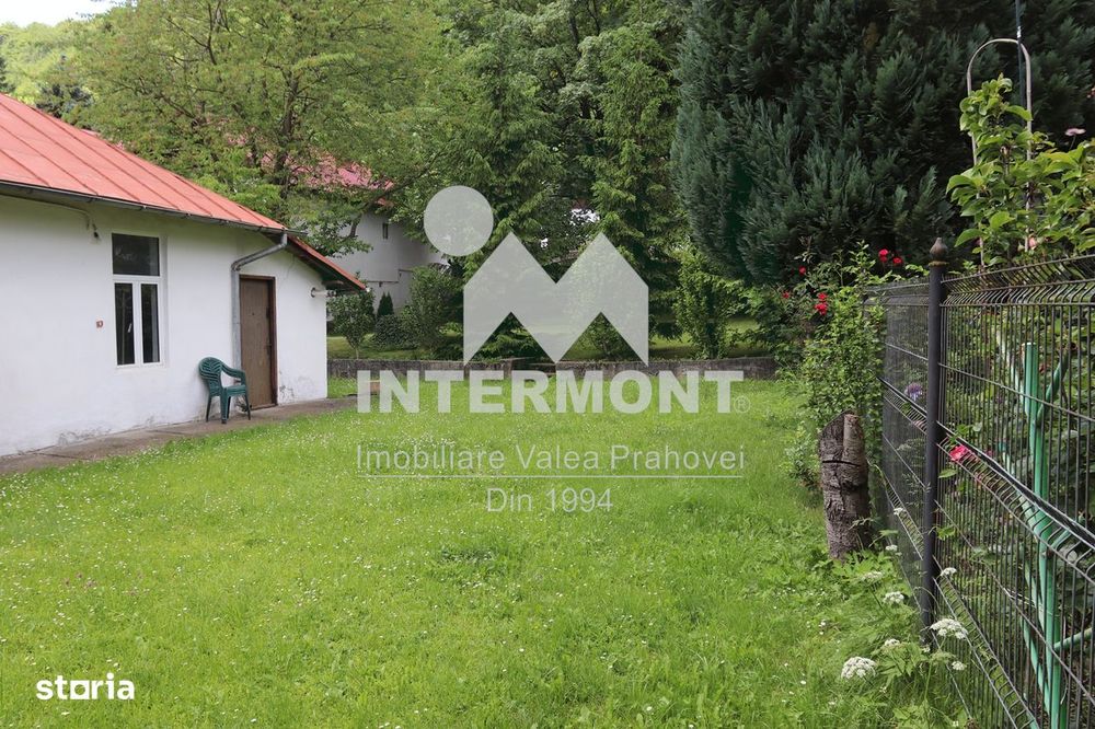 Teren Sinaia- Central