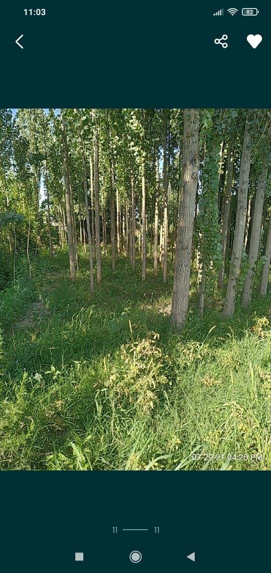 Учаска сотилади срочно