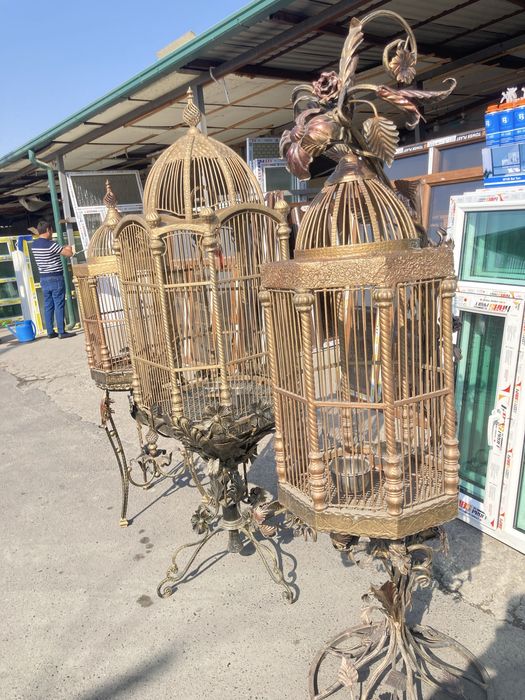 Papugaylar uchun qafas