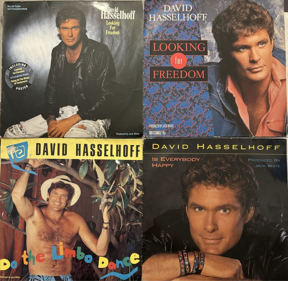 Discuri Vinyl - David Hasselhoff
