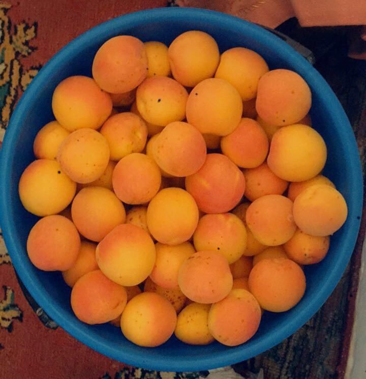 Өрік. Вишня. Смародина
