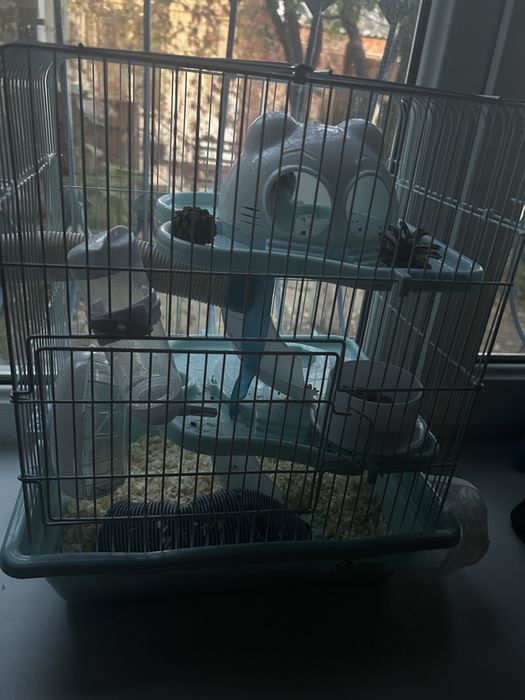 Для хамяка дом 3х этажный с апилкои и хомяк тож есть