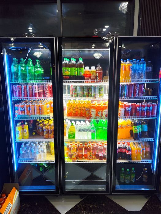 Холодильники дрехдверные