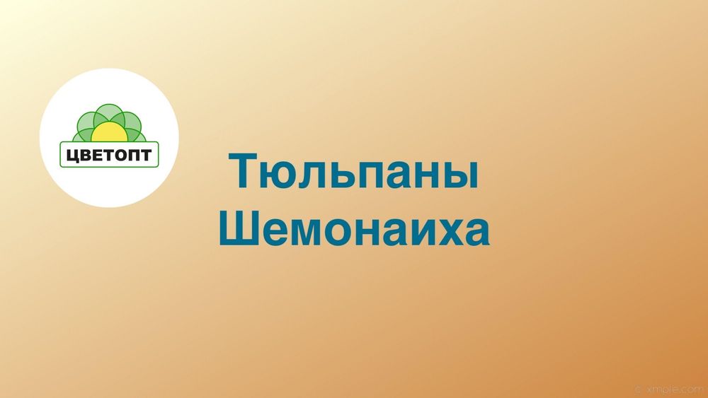 Тюльпаны оптом Шемонаиха