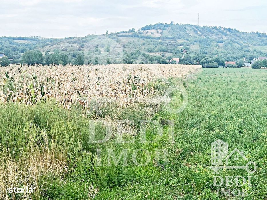 Teren extrvilan LUGASU DE JOS, Bihor