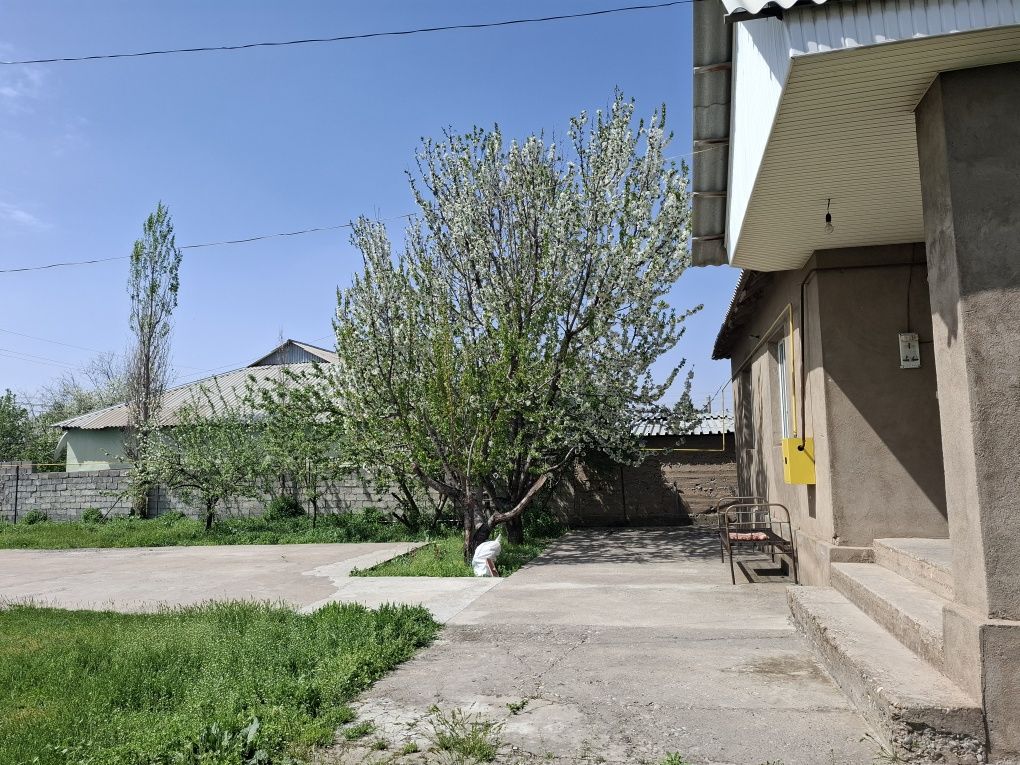 Продаётся дом 10 сот
