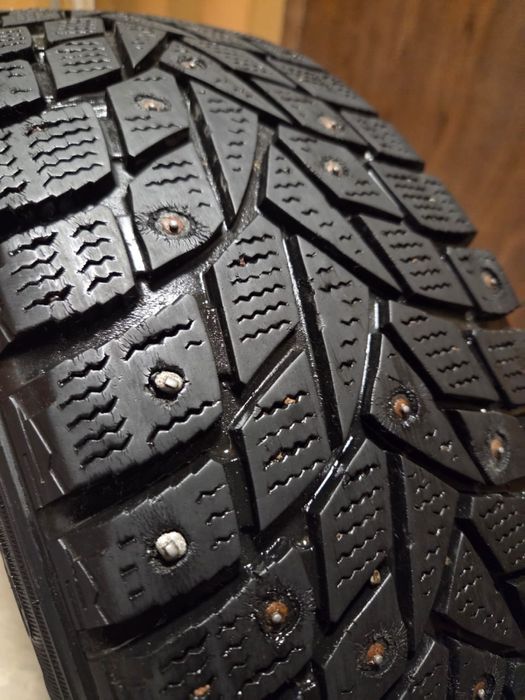 Продам шины dunlop 195/55 R16