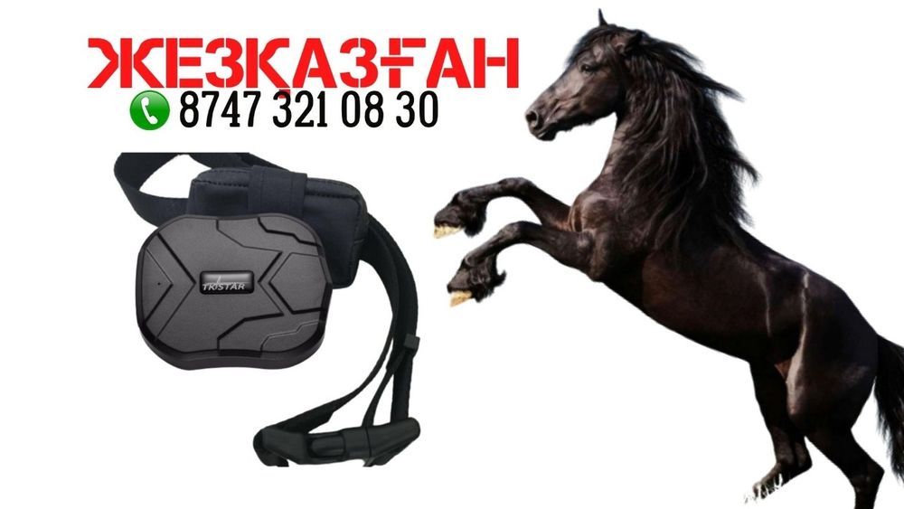 Жпс для лошадей GPs