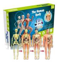 Corpul Uman 3D Model Anatomic Organe și schelet Educativ copii +6 ani