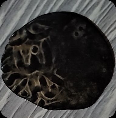 Qadimiy tangalar