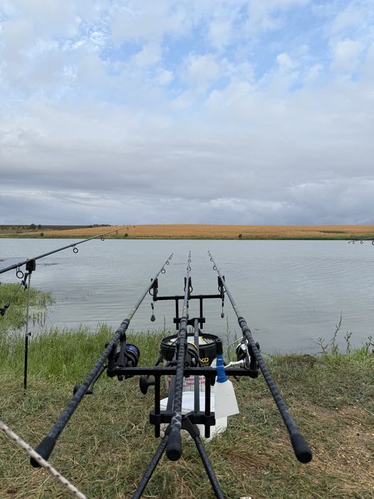 Шаранджийски сет Delphin partisan 3.60 3.50lb