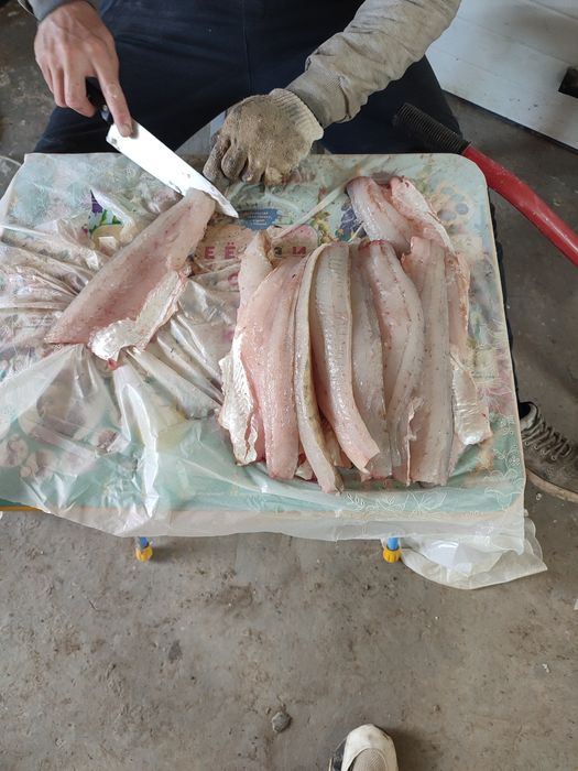 Продам свежее филе