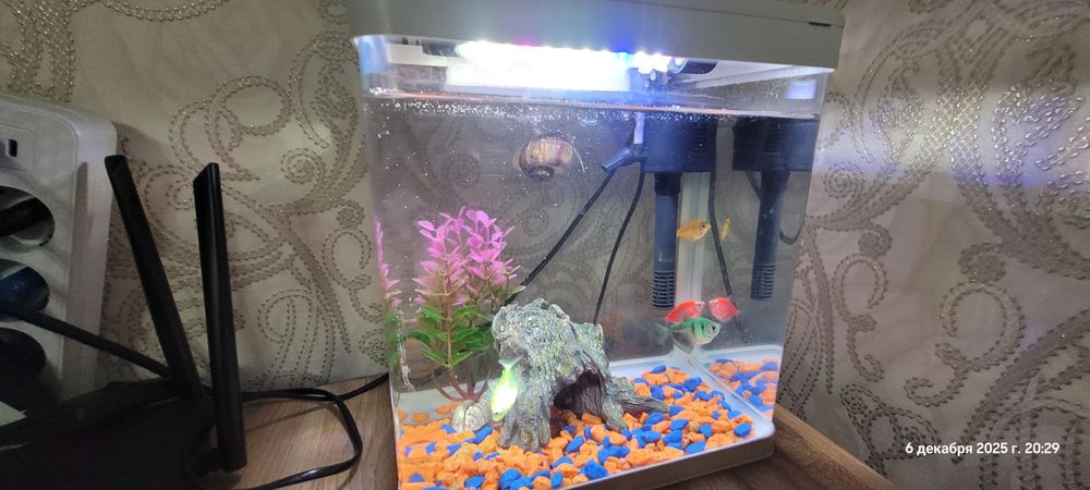 Продам аквариум с рыбками.