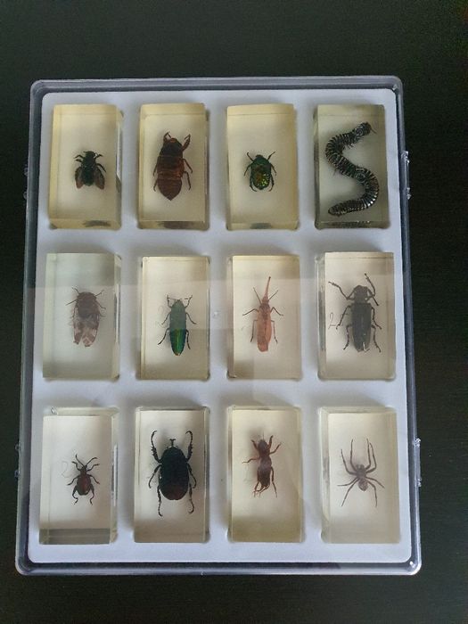 Colectia De la Deagostini