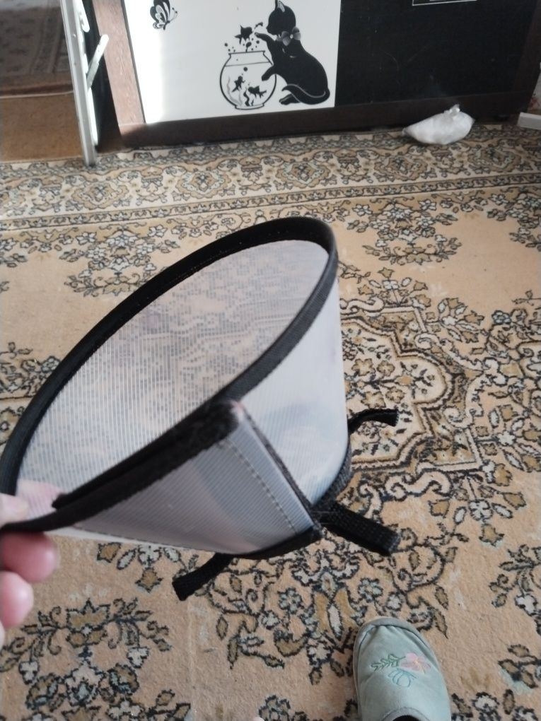 Продам хомут для котов