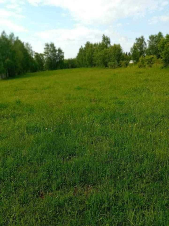 Teren extravilan 4500 mp in Rasca jud. Cluj