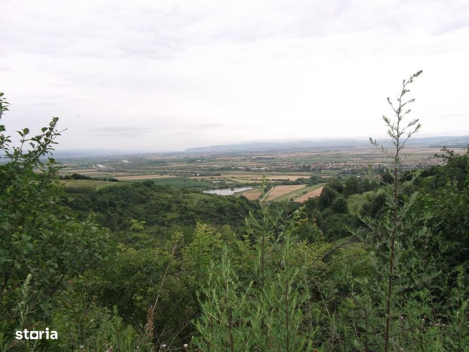 GAMINVEST - De vanzare parcele teren, zona Doja, Oradea V1423