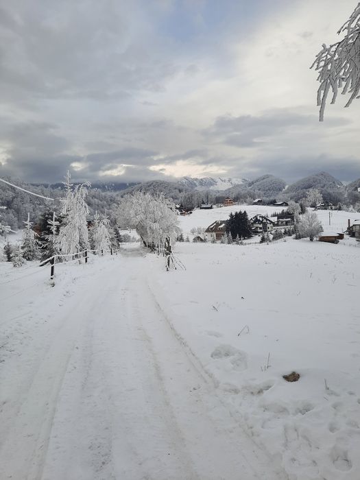 Teren la munte superb Ciocanu Dambovicioara