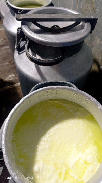 Кефир - Kefir - Простокваша