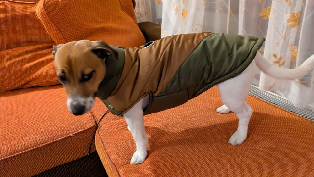 haina , Geaca caini marimea 3 XL